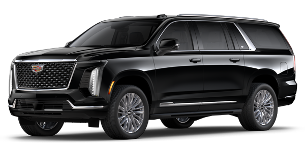 D'Addario Cadillac in Shelton CT