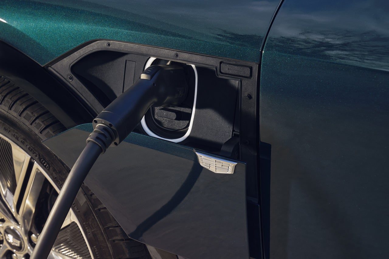 D'Addario Cadillac in Shelton CT