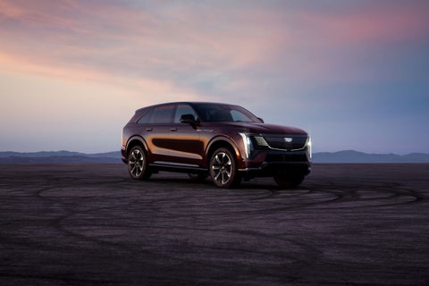  D'Addario Cadillac in Shelton CT