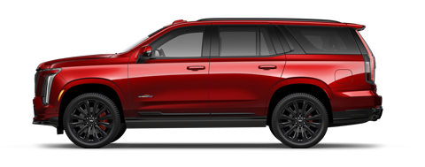 D'Addario Cadillac in Shelton CT